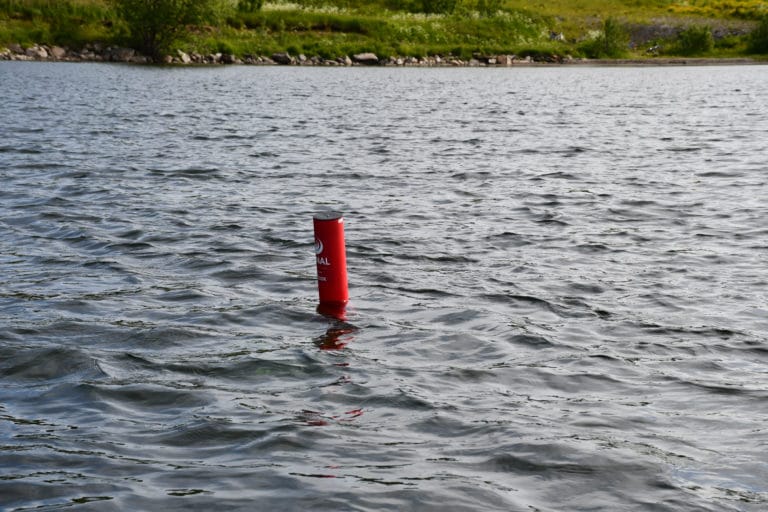 Rødt rør, også kalt Badetassen flyter over vannflaten i Soløyvannet