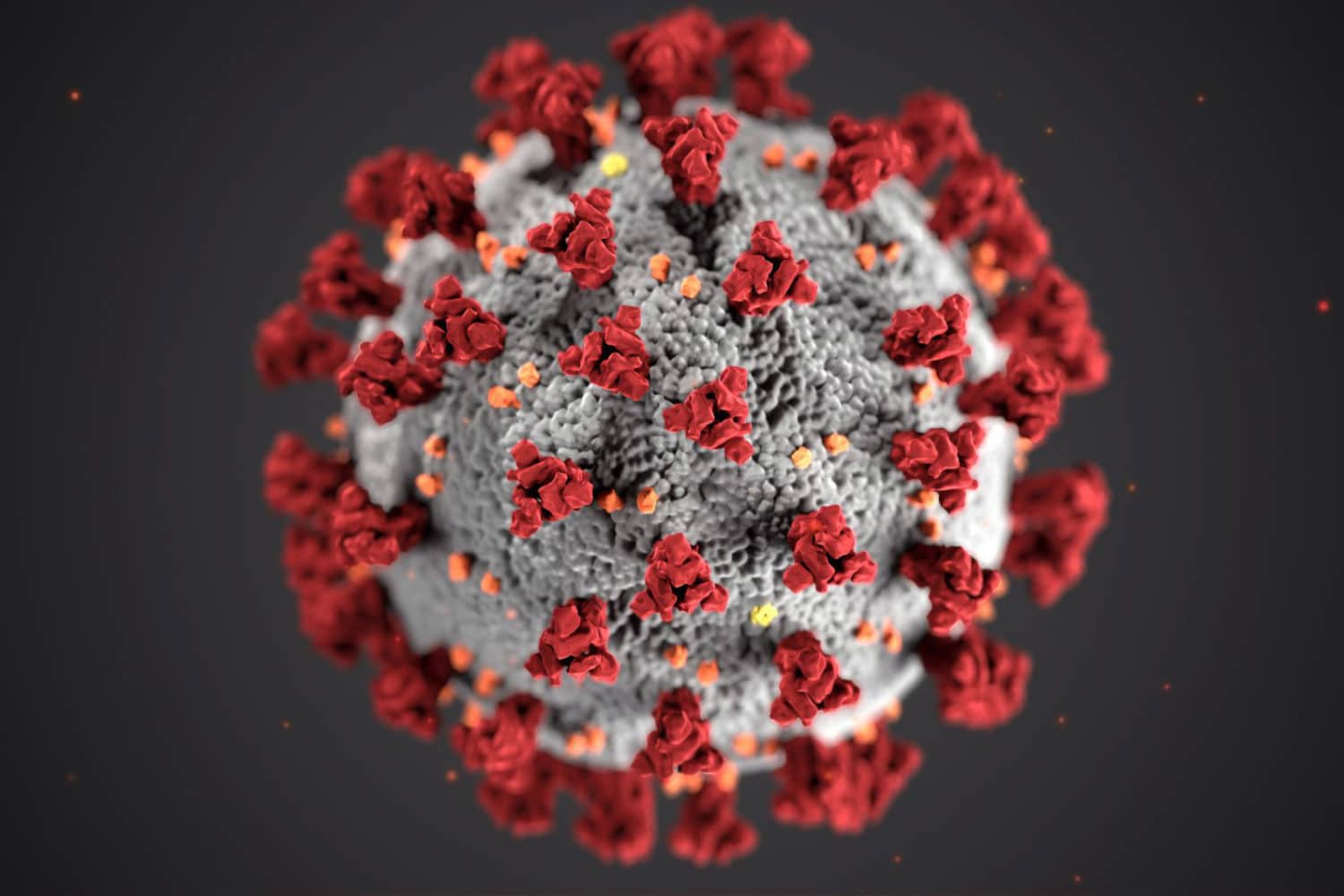 covid-19 virus demonstrasjon