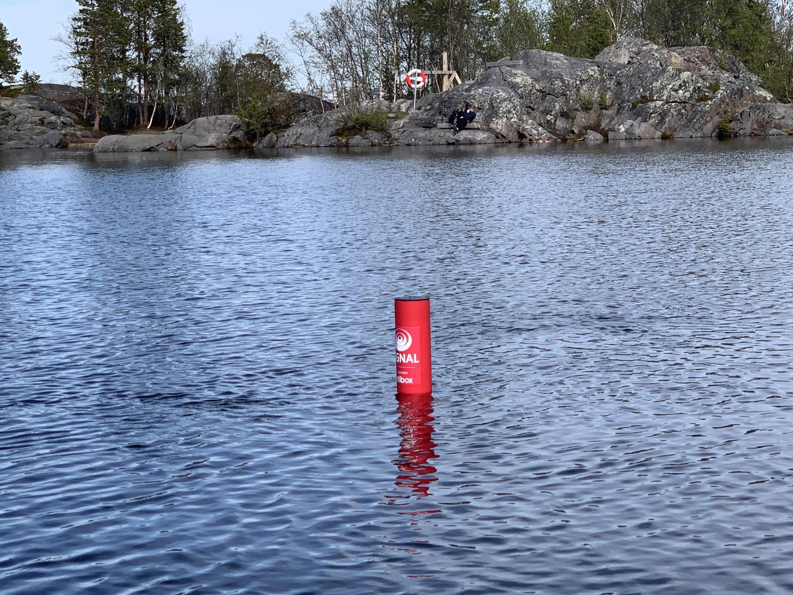 Rødt rør, også kalt Badetassen flyter over vannflaten i Finnmark
