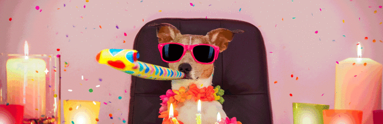 Hund sitter ved bord med solbriller og partyfløyte